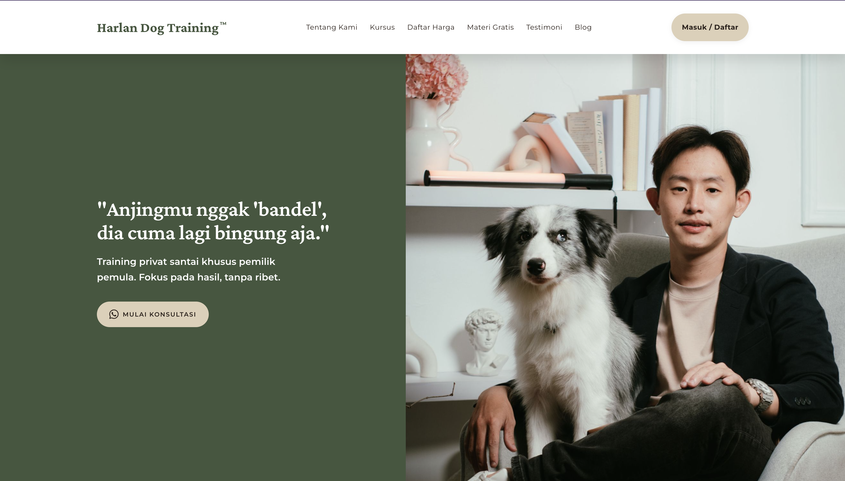 Harlan Dog Training website preview